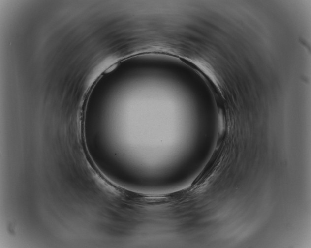 X0000091901151200709121454