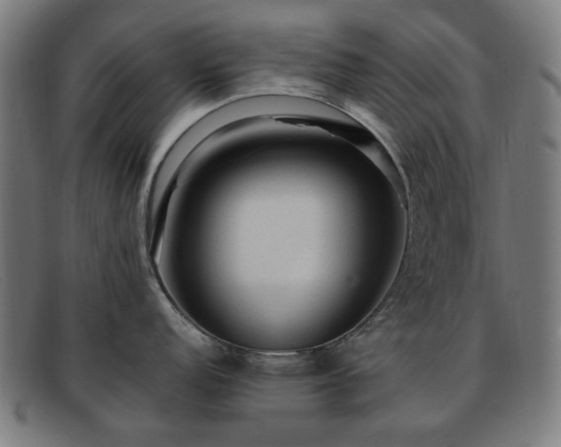 X0000091901152200709121454