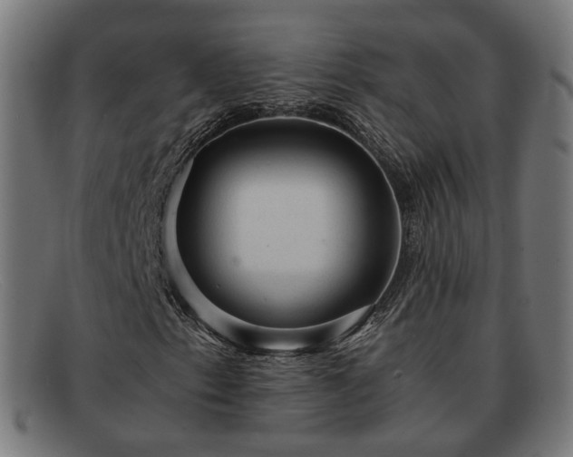 X0000091901153200709121453