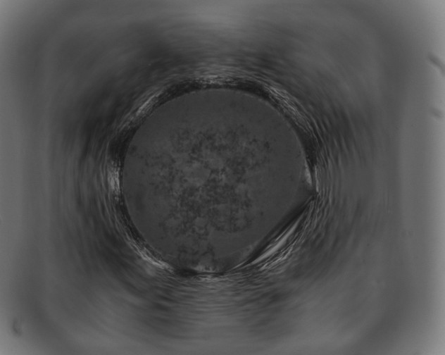 X0000091901155200709121453