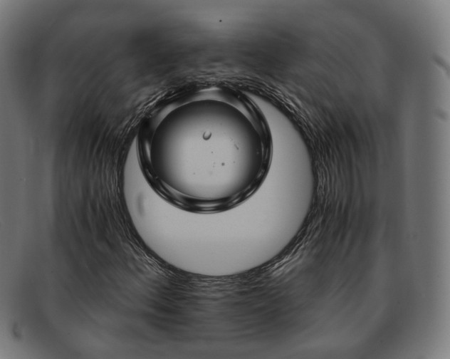 X0000091901156200709121453