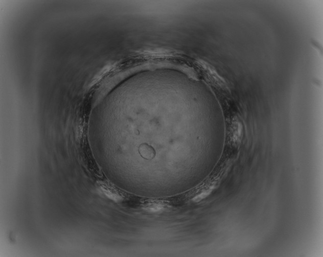 X0000091901157200709121453