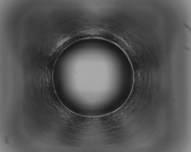 X0000091901158200709121453