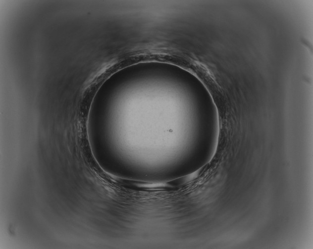 X0000091901159200709121453