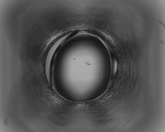 X0000091901160200709121453