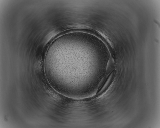 X0000091901163200709121453