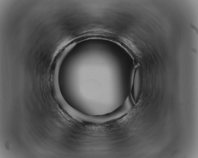 X0000091901164200709121453