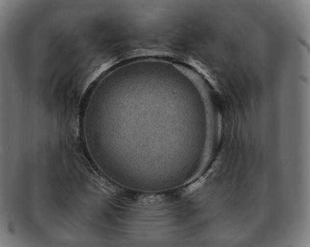 X0000091901165200709121453