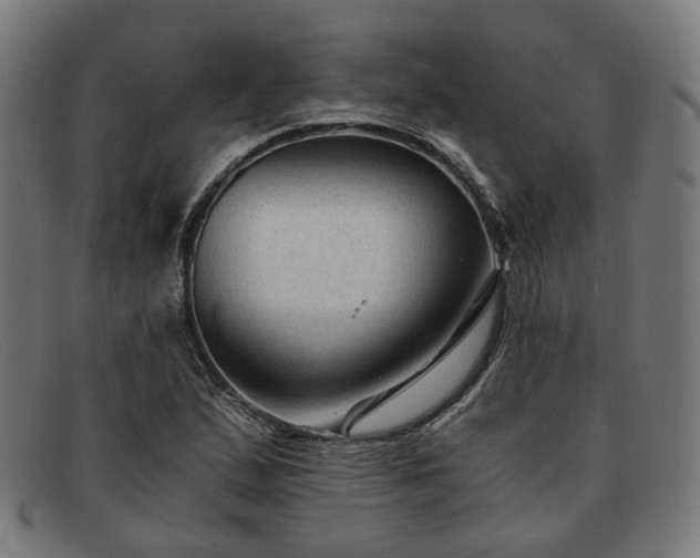 X0000091901167200709121453