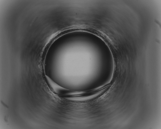 X0000091901168200709121453