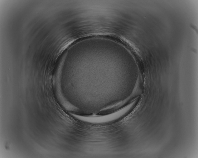 X0000091901169200709121453