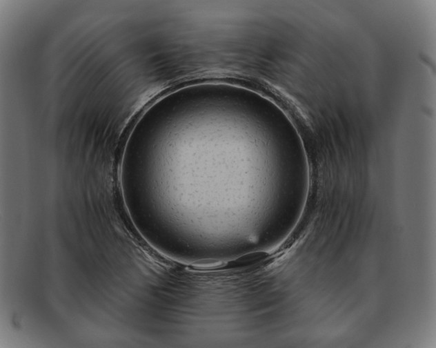 X0000091901170200709121453