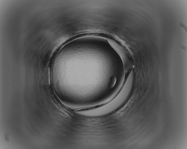 X0000091901171200709121453