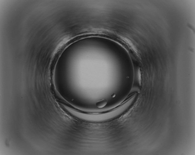 X0000091901172200709121453