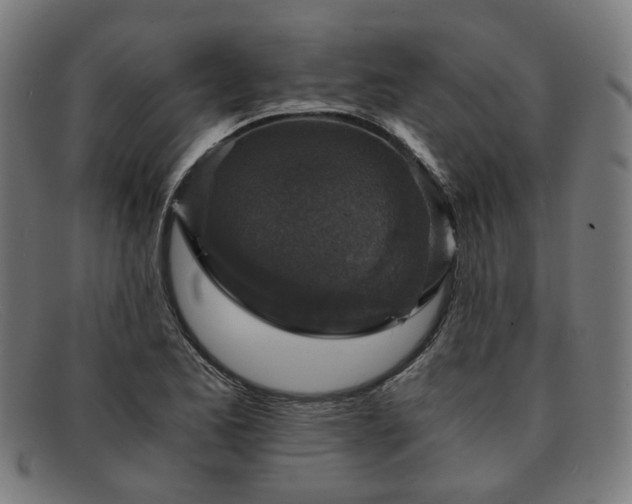 X0000091901173200709121453