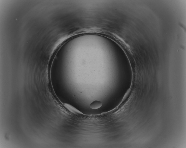 X0000091901174200709121453