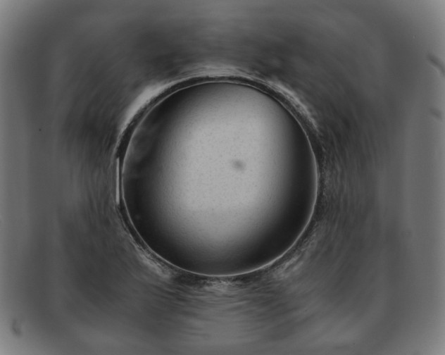 X0000091901175200709121453