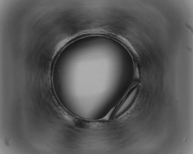 X0000091901176200709121453