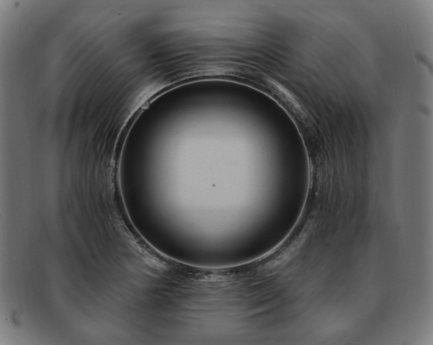 X0000091901178200709121453