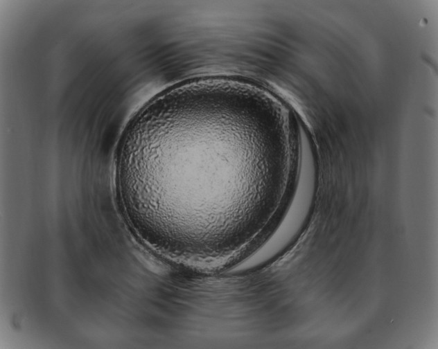 X0000091901179200709121453