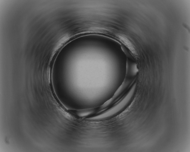 X0000091901180200709121453