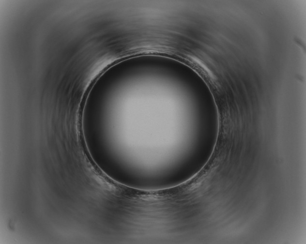 X0000091901182200709121453