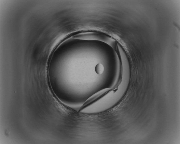 X0000091901183200709121453