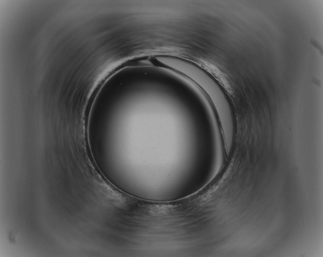 X0000091901184200709121453