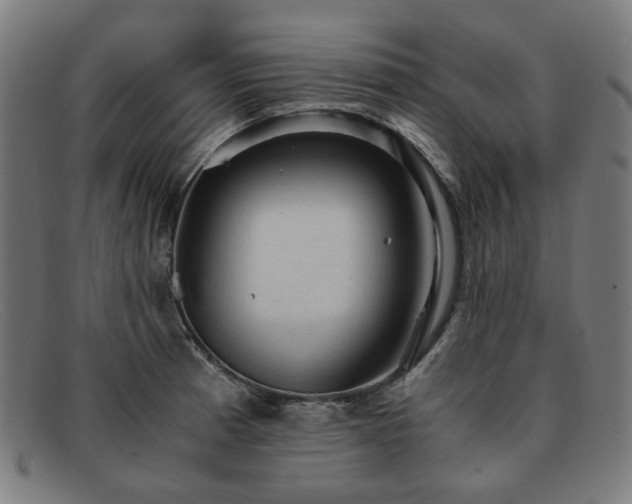 X0000091901185200709121453