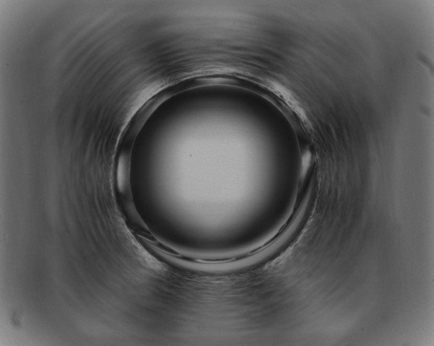 X0000091901186200709121453