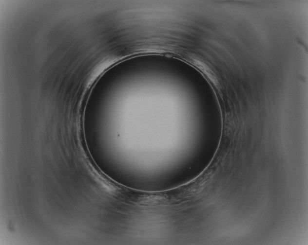 X0000091901187200709121453