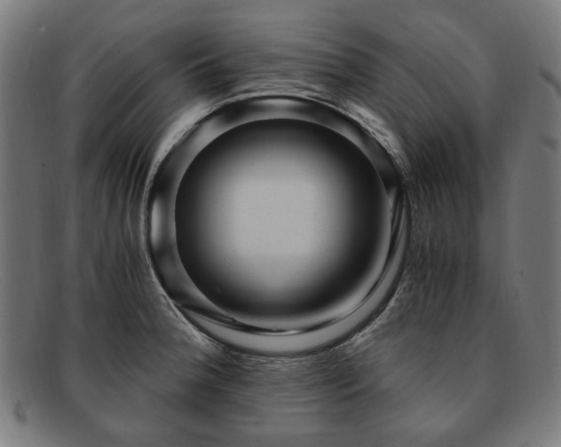 X0000091901188200709121453