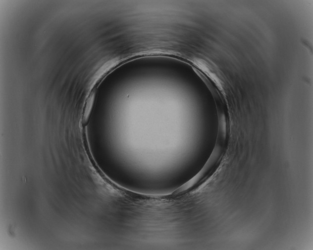 X0000091901189200709121453