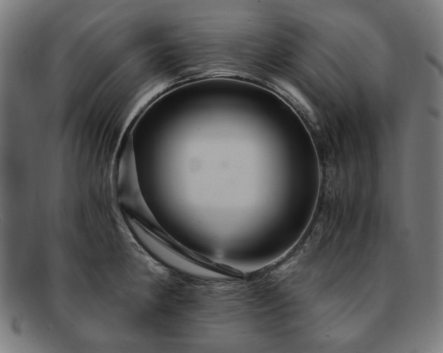 X0000091901190200709121453