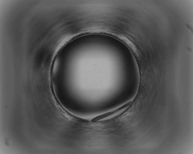 X0000091901191200709121453