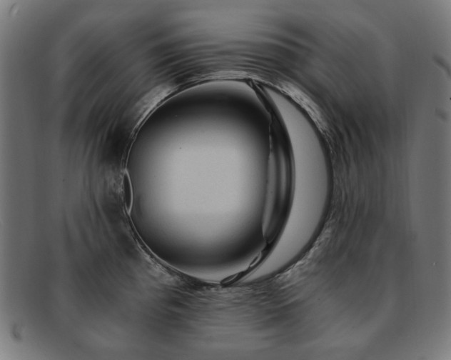 X0000091901193200709121453