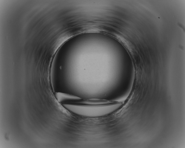 X0000091901194200709121453