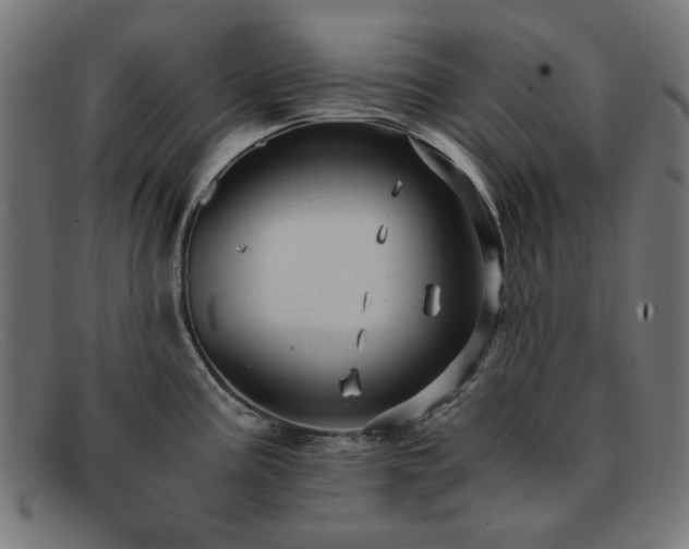 X0000091901195200709121453