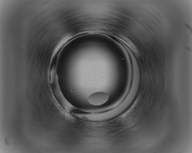 X0000091901196200709121453