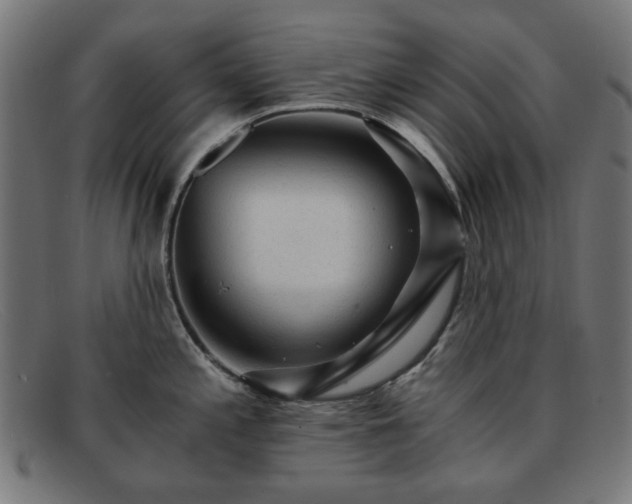 X0000091901197200709121453