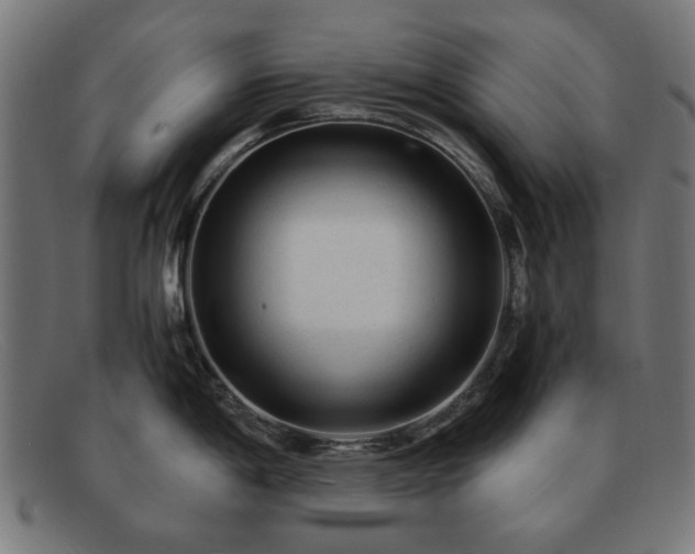 X0000091901198200709121453