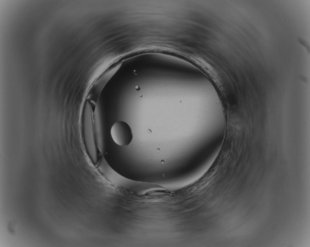 X0000091901199200709121453