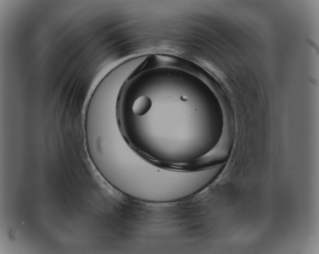 X0000091901200200709121453