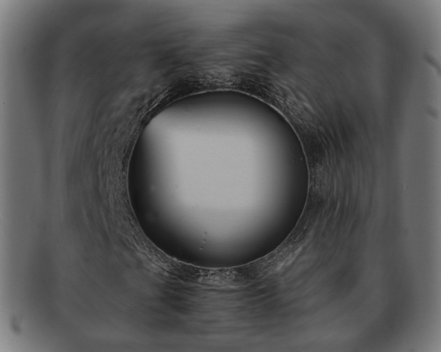 X0000091901201200709121452