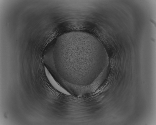 X0000091901202200709121452