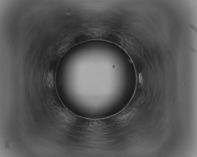 X0000091901203200709121452