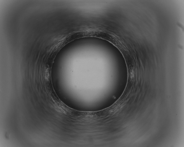 X0000091901204200709121452