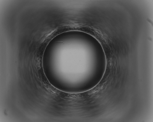 X0000091901205200709121452