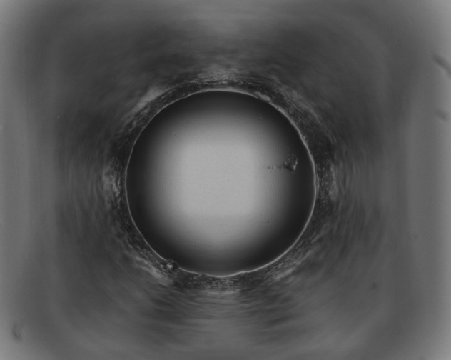 X0000091901206200709121452