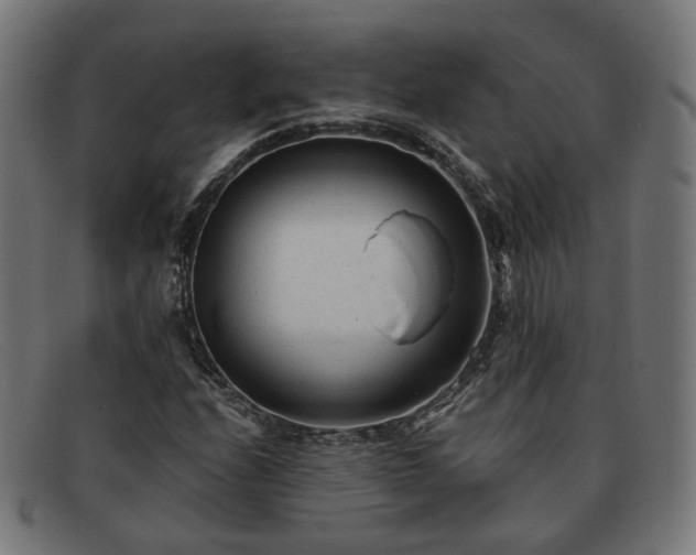 X0000091901208200709121452